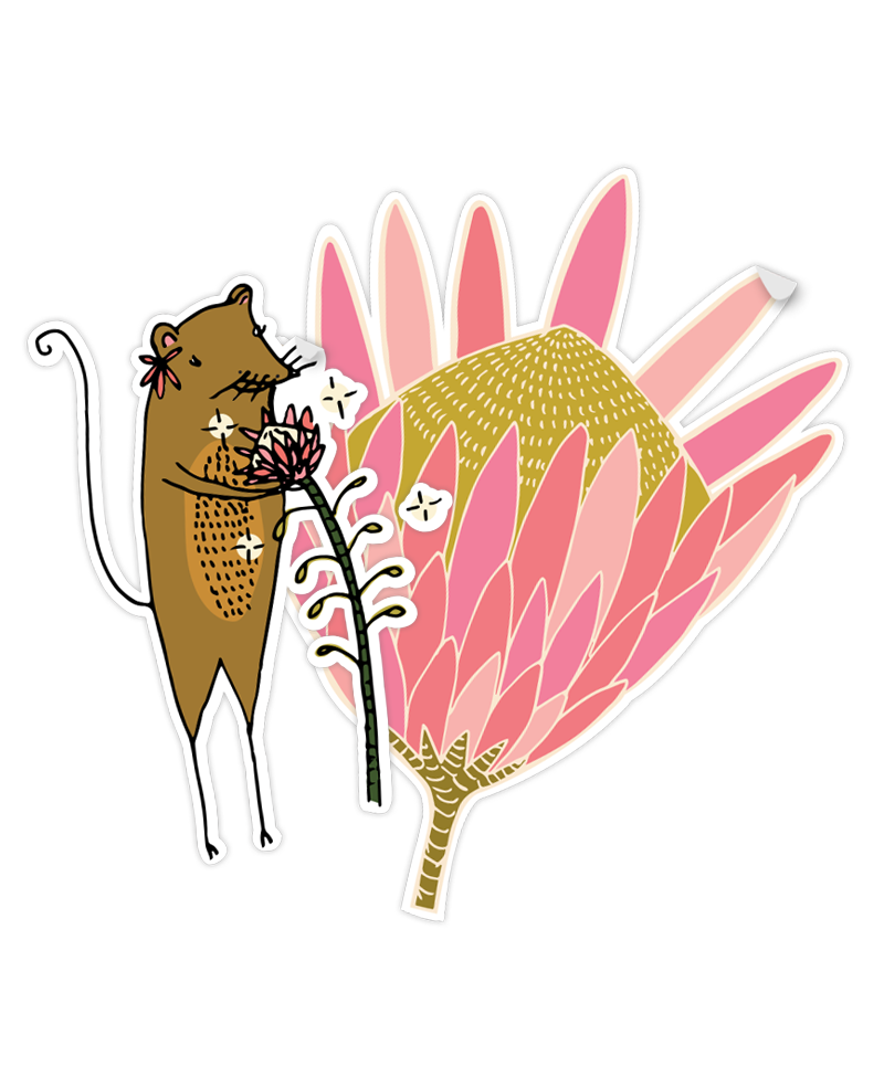 Cut out of Protea & Petal Sticker Pack