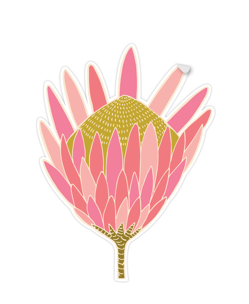Cut out of Protea Sticker