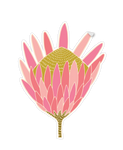 Cut out of Protea Sticker